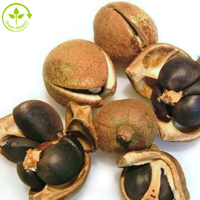 Camellia Sinensis Seed Extract Tea-Saponienpoeder 50% 60% 70% 80% 85% 90% 95% 98%
