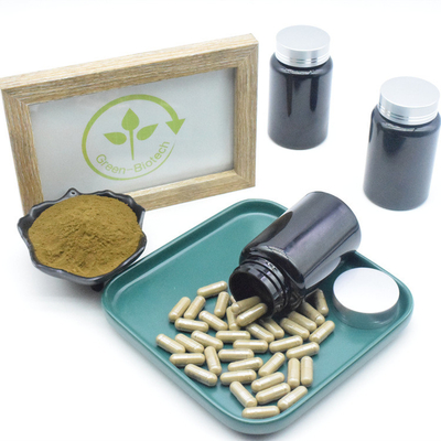 De zuivere Capsules van het het Uittrekselsupplement 10% 40% 500mg Turkesterone van Ajuga Turkestanica