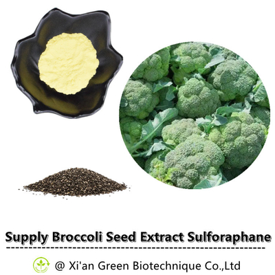 Van het Uittrekselsulforaphane van de broccoliinstallatie het Poeder 1% 13% 20% 28%