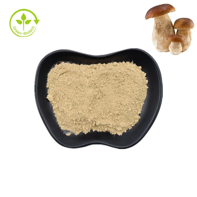 Natuurlijk Zuiver de Boleetpoeder 99% van Penny Bun Porcini Mushroom Extract