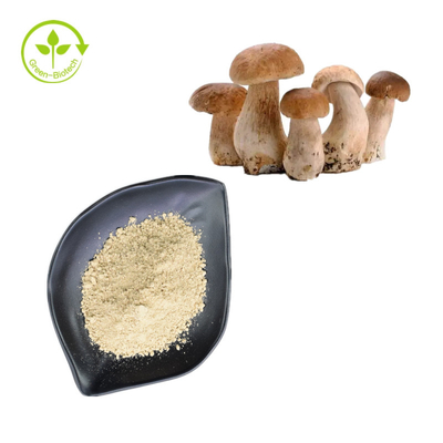 Natuurlijk Zuiver de Boleetpoeder 99% van Penny Bun Porcini Mushroom Extract