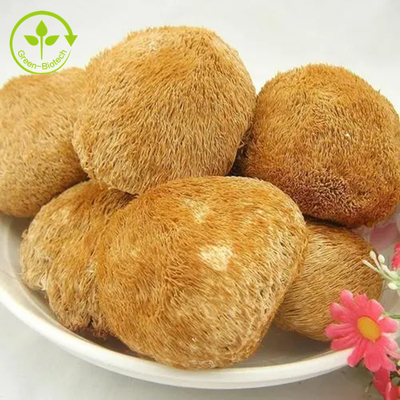 Organische Leeuwen Mane Mushrooms Mycelium Extract Powder voor Thee/Matcha/Koffie