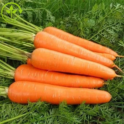 Additieven voor levensmiddelen die Gistmiddel Beta Carotene Powder 10% kleuren