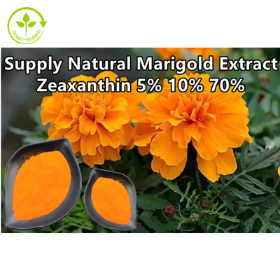 Zeaxanthin van de Installatieuittreksels van de goudsbloembloem Natuurlijk Poeder 10%