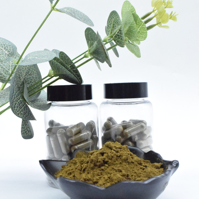 Het in het groot Bulk van het het Uittrekselpoeder van 100% Zuivere 2% 10% Ajuga Turkestanica Poeder van Turkesterone