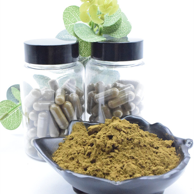 100% natuurlijk Turkesterone-Poeder2% 10% 40% Ajuga Turkestanica Uittreksel