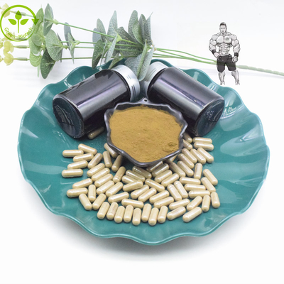 De zuivere Capsules van het het Uittrekselpoeder 800mg 1000mg Turkesterone van 10% 40% Turkesterone