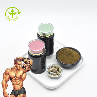 100% het natuurlijke van het Uittrekselturkesterone 10% van Ajuga Turkestanica Poeder van de Capsules Zuivere Turkesterone