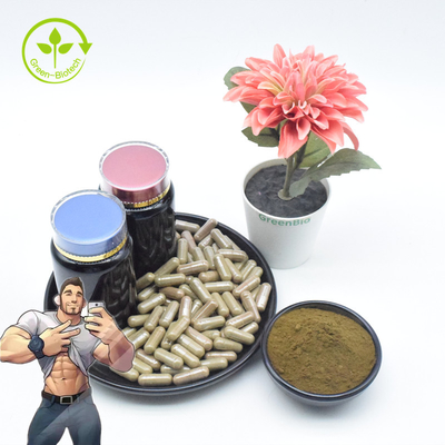 Het Uittreksel Bulk2% 10% Turkesterone Poeder van supplement Zuiver Ajuga Turkestanica