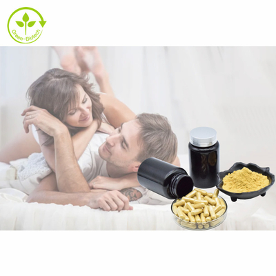 Het Poeder 1% 3% 5% 10% Tongkat Ali Extract van Tongkat Ali Capsules 500mg/60caps/Bottle Eurycomanone van het installatieuittreksel