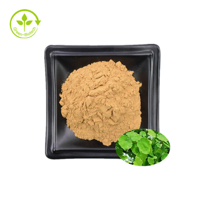 Epimediumuittreksel 98% Icaritin Honey Goat Weed Extract 98% Icaritin