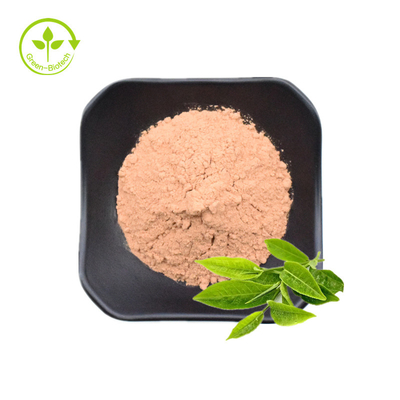 Het groene Poeder van het Theeuittreksel/Polyphenols EGCG Catechins