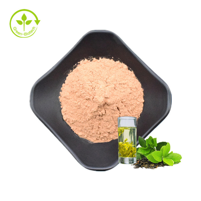 Het groene Poeder van het Theeuittreksel/Polyphenols EGCG Catechins