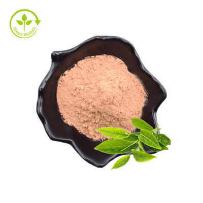 Van het Poeder l-Theanine van fabrieks In het groot Theanine het Poeder99% Greens Groen het Aminozuursupplement van het Theeuittreksel