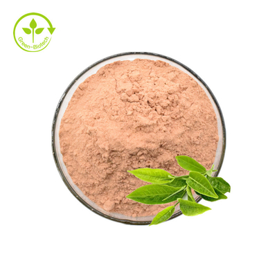 Het groene Polyphenols 50% 98% van het Theeuittreksel Groene Poeder van het Theeuittreksel