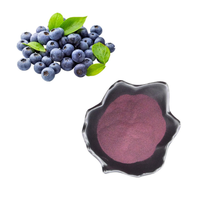 100% zuivere Concentraatvorst - de Bosbessenpoeder van Juice Powder Blueberry Extract Bulk van de droog Fruit Vers Bosbes