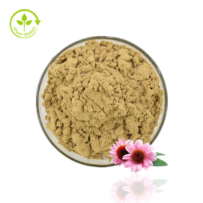 Hoogwaardig Echinacea-extractpoeder Echinacea Purpurea-extract 4% polyfenolpoeder