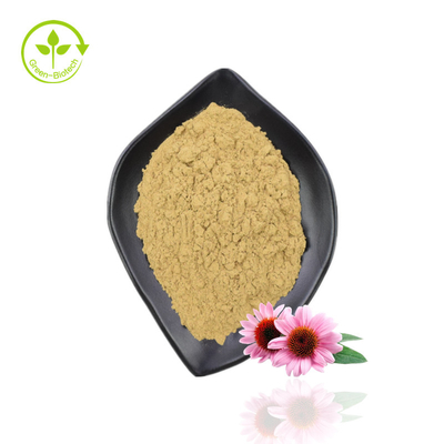 Topkwaliteit Echinacea-extract Purpurea Biologisch Echinacea-extractpoeder