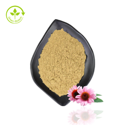 Topkwaliteit Echinacea-extract Purpurea Biologisch Echinacea-extractpoeder