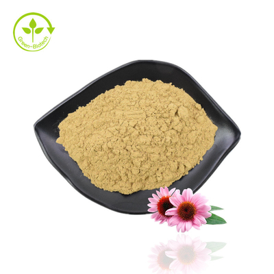 Echinacea Kruidenextract Echinacea Purpurea Extract Polyfenol Echinacea Extract