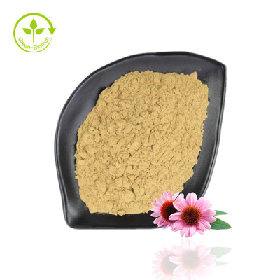 Heet verkopend Echinacea Purpurea-extract 4% -6% polyfenol 2% -4% natuurlijk Echinacea-poeder