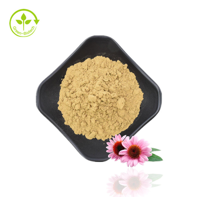 Natuurlijke polyfenolen 4% cichorinezuur 1% 4% Echinacea purpurea-extract
