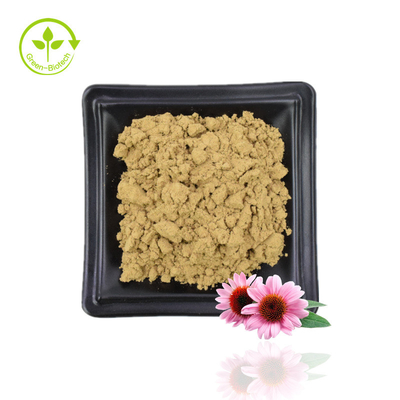 Levering Echinacea Purpurea-extract Echinacea-extract Natuurlijk Echinacea Purpurea-bloemenextract 4% polyfenolen