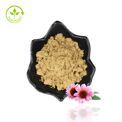 Natuurlijk Echinacea Purpurea-extract / Echinacea-extractpoeder