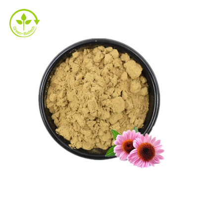 Echinacea-extract/Echinacea Purpurea-extract in bulk/Echinacea-extract 4% polyfenolen