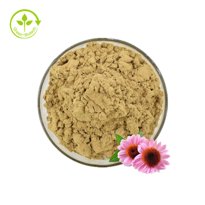 Echinacea-extract/Echinacea Purpurea-extract in bulk/Echinacea-extract 4% polyfenolen