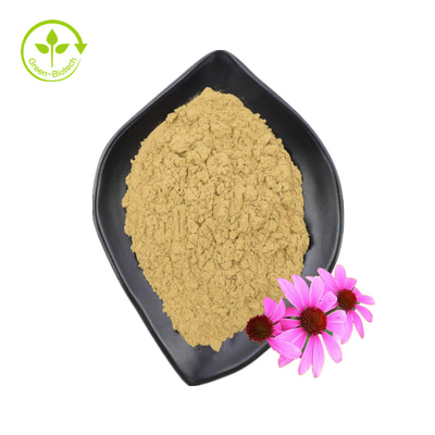 GMP-standaard Hoogwaardige polyfenolen Echinacea Purpurea-poeder Echinacea Purpurea-extract
