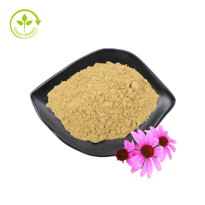 GMP-standaard Hoogwaardige polyfenolen Echinacea Purpurea-poeder Echinacea Purpurea-extract