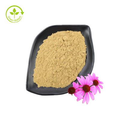 Lever Echinacea Purpurea-extract van goede kwaliteit Gezondheidszorgsupplement Echinacea Purpurea-extract