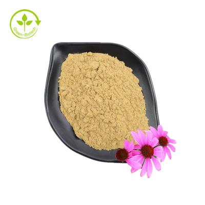 Lever Echinacea Purpurea-extract van goede kwaliteit Gezondheidszorgsupplement Echinacea Purpurea-extract
