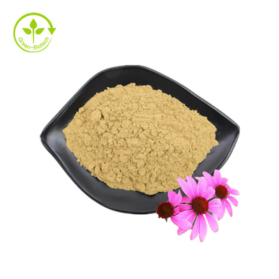Groothandel Supply 3% Chicoric Acid Echinacea Purpurea Flower Extract Echinacea Purpurea Extract