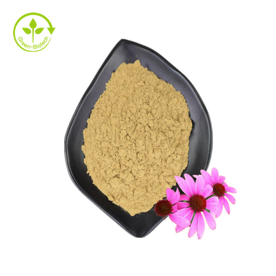 Groothandel Supply 3% Chicoric Acid Echinacea Purpurea Flower Extract Echinacea Purpurea Extract