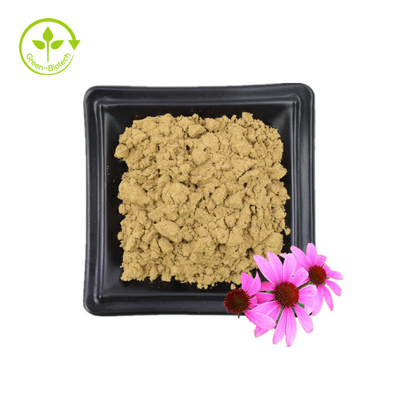 Bulklevering Echinacea Purpurea-extract 4% polyfenol 2% chicorzuur