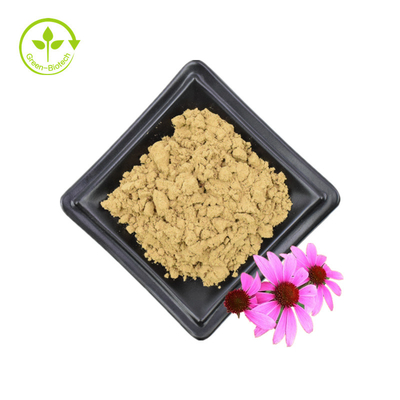 Bulklevering Echinacea Purpurea-extract 4% polyfenol 2% chicorzuur