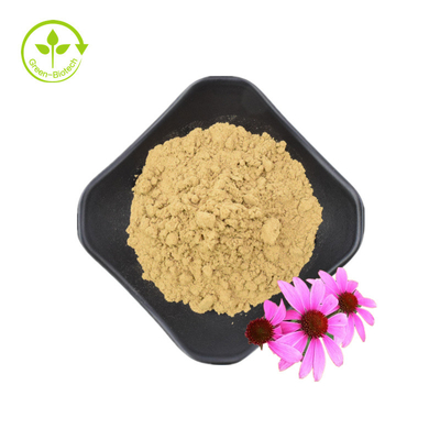 Hoogwaardige Echinacea Purpurea Wortel Extract 10% Polyfenolen Echinacea Purpurea Extract Echinacea Extract