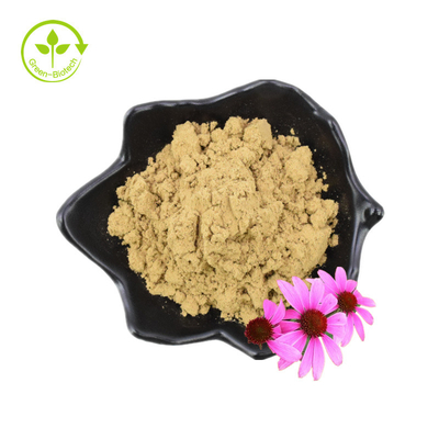Puur 4% chicorzuur Echinacea Purpurea-bloemextract Poeder Echinacea Purpurea-extract