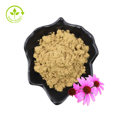 Puur 4% chicorzuur Echinacea Purpurea-bloemextract Poeder Echinacea Purpurea-extract