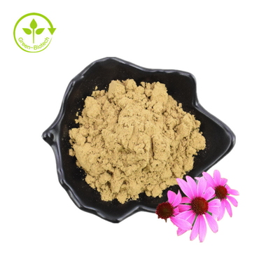 Organisch polyfenol gedroogd poeder Bloemzaden Echinacea Purpurea-extract
