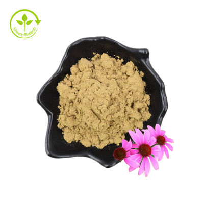 Bulk Natuurlijk Echinacea-extractpoeder Echinacea Purpurea-extract