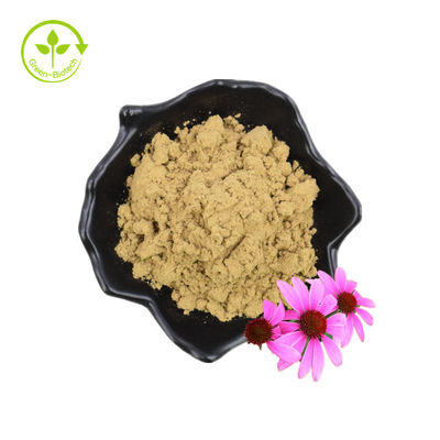 Bulk Natuurlijk Echinacea-extractpoeder Echinacea Purpurea-extract