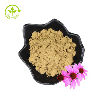 Echinacea-extract Purpurea-wortelextract Echinacea Angustifolia-extract