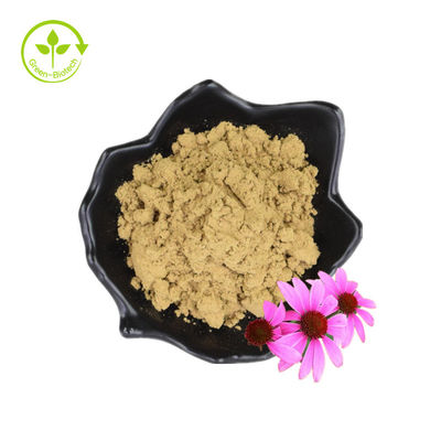 Echinacea-extract Purpurea-wortelextract Echinacea Angustifolia-extract