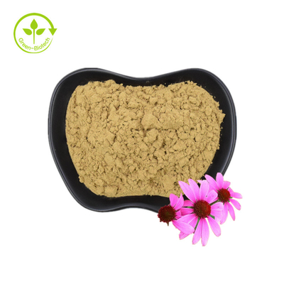 Biologisch Echinacea Purpurea Extract Echinacea wortel extract