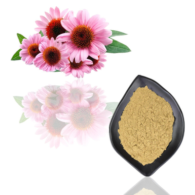 Natuurlijke Organische het Uittrekselpolyphenol 2% - 4% Cichoric Zure 2% van Echinacea Purpurea - 5%