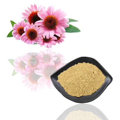 Natuurlijke Organische het Uittrekselpolyphenol 2% - 4% Cichoric Zure 2% van Echinacea Purpurea - 5%