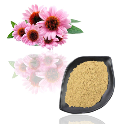 Van het de Installatieuittreksel van de voedselrang van het Poederechinacea Purpurea de Bloemuittreksel